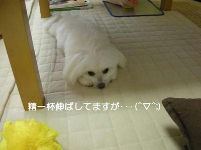 DSCN0424.JPG