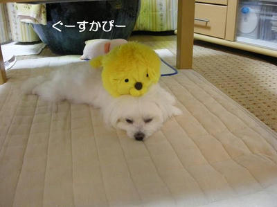 DSCN0457.JPG