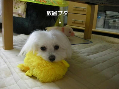 DSCN0461.JPG