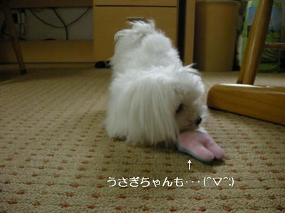 DSCN0402.JPG