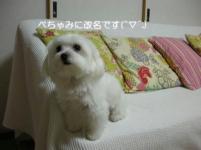 DSCN0469.JPG