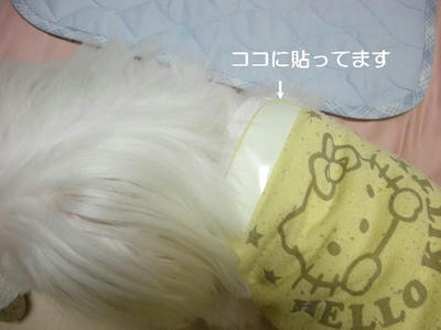 DSCN0472.JPG