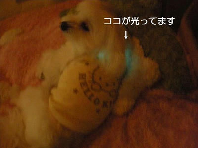 DSCN0476.JPG