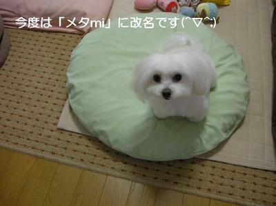 DSCN0413.JPG