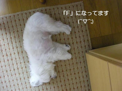 DSCN0467.JPG