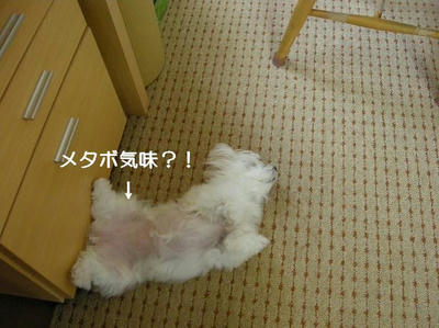 DSCN0477.JPG