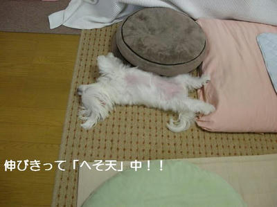 DSCN0484.JPG