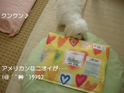 DSCN0494.JPG