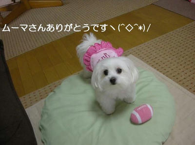DSCN0502.JPG