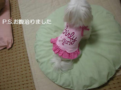 DSCN0507.JPG