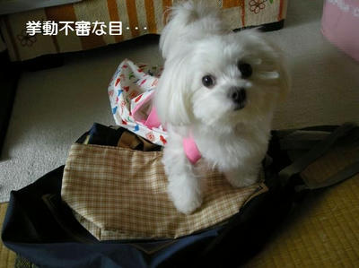 DSCN0491.JPG