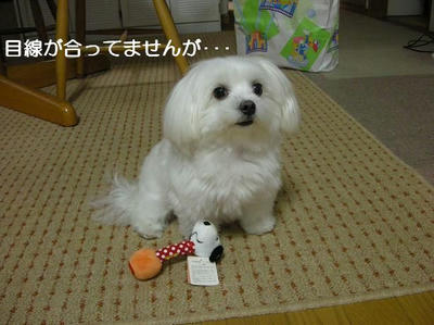 DSCN9219.JPG