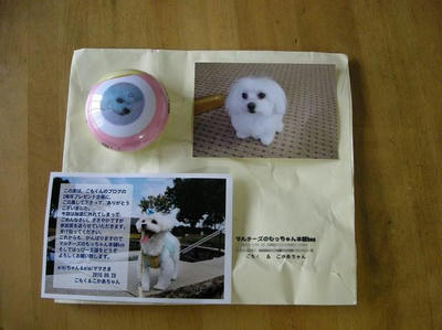 DSCN9227.JPG