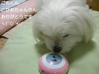 DSCN9228.JPG