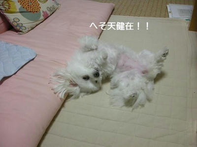 DSCN9234.JPG