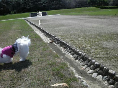 DSCN9250.JPG