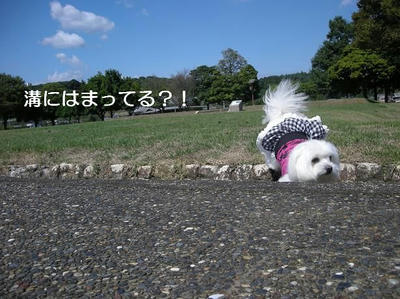 DSCN9258.JPG
