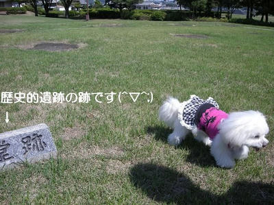DSCN9264.JPG