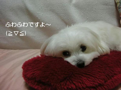 DSCN9269.JPG