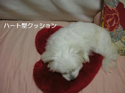 DSCN9272.JPG