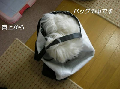 DSCN9278.JPG
