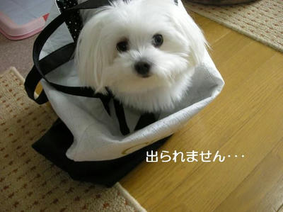 DSCN9279.JPG