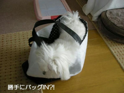 DSCN9281.JPG
