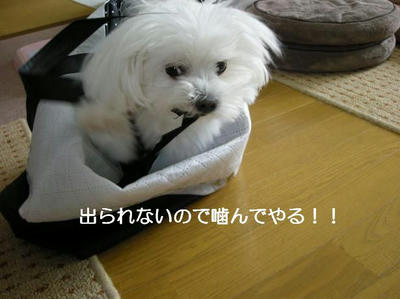 DSCN9282.JPG
