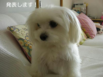 DSCN9297.JPG