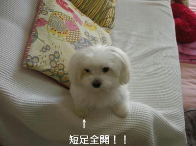 DSCN9295.JPG
