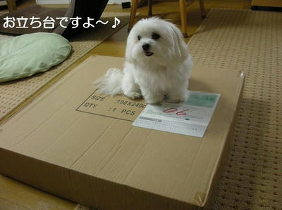 DSCN9316.JPG