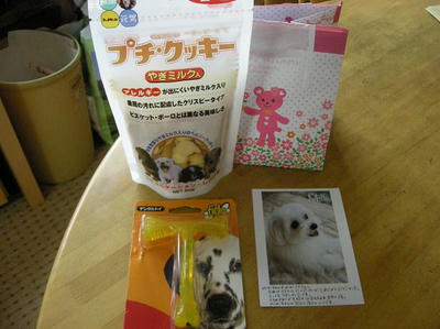 DSCN9317.JPG