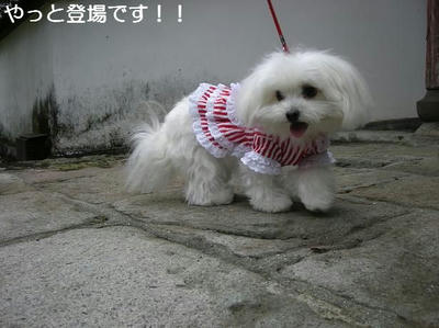 DSCN9366.JPG