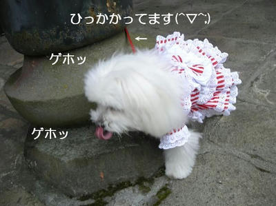 DSCN9370.JPG
