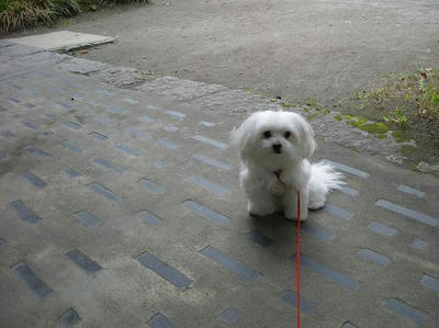 DSCN9388.JPG