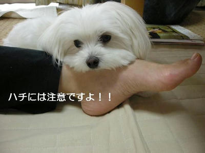 DSCN9307.JPG
