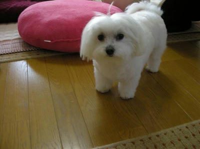 DSCN9430.JPG