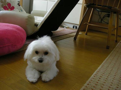 DSCN9436.JPG