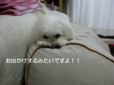 ff5abef8.jpeg