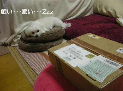 DSCN9462.JPG