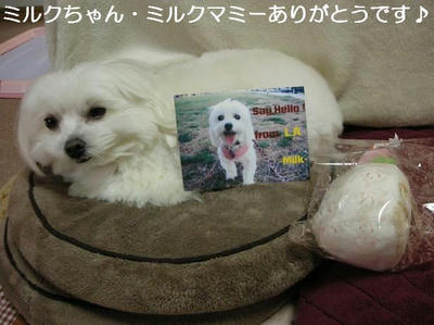 DSCN9466.JPG