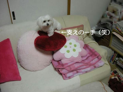 DSCN9456.JPG