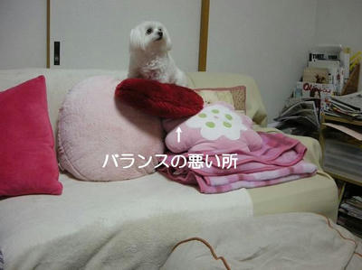 DSCN9458.JPG