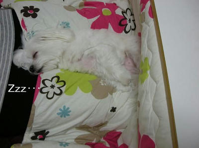 DSCN9470.JPG