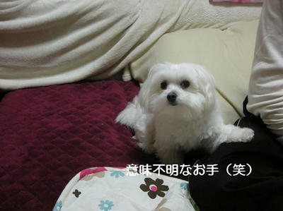 DSCN9651.JPG