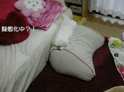 DSCN9449.JPG