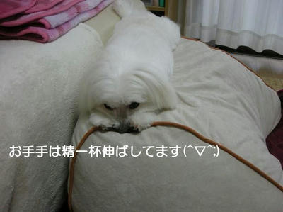 DSCN9452.JPG