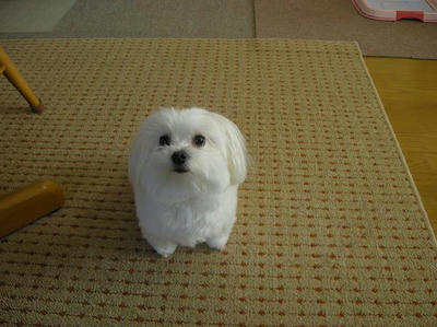 DSCN9670.JPG
