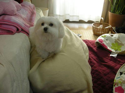 DSCN9677.JPG