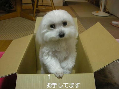 DSCN9686.JPG